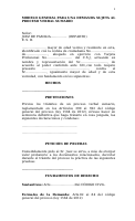 MODELO GENERAL PROCESO VERBAL SUMARIO.doc